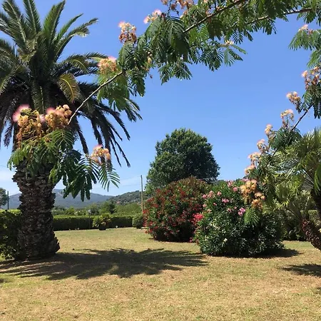 Appartement Casale Conci