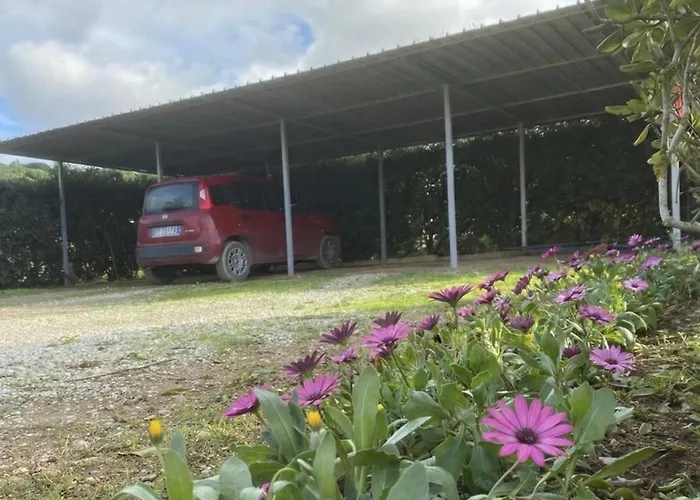 Casale Conci דירה