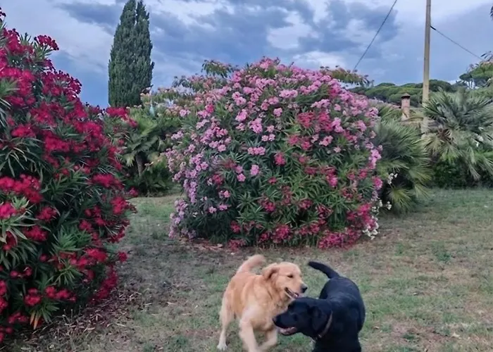 Casale Conci Casa Ajali