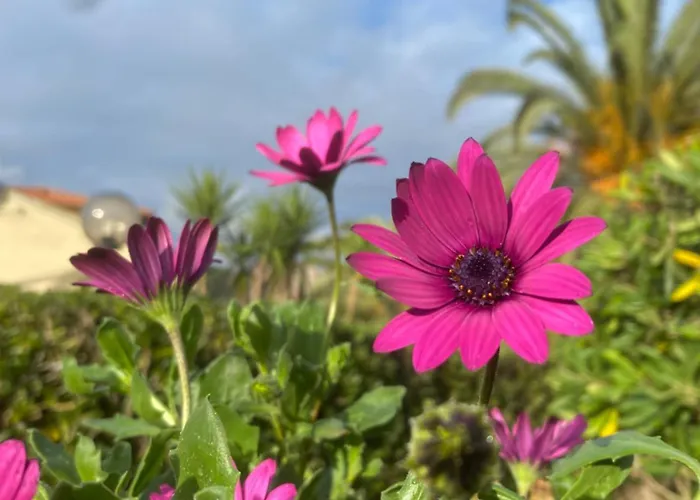 Lägenhet Casale Conci Casa Ajali